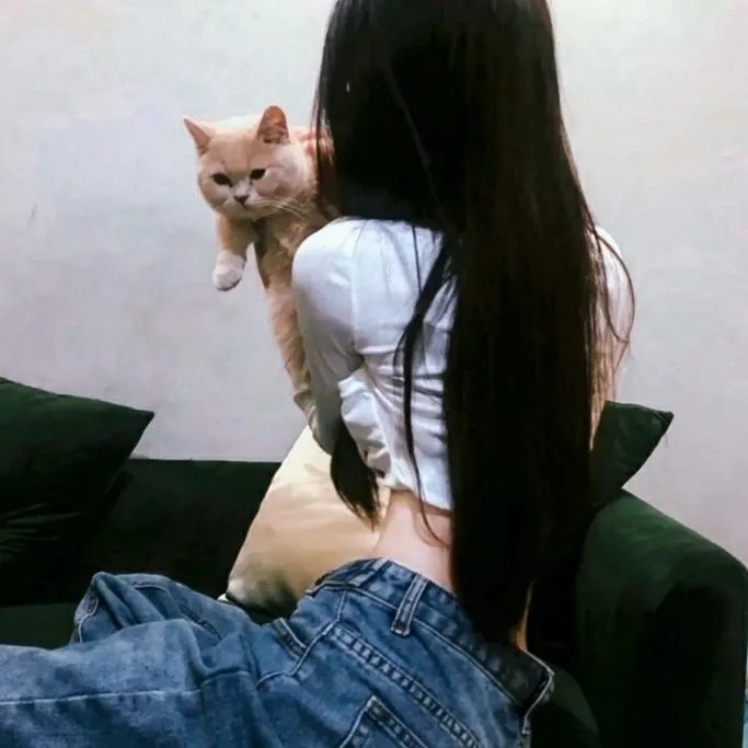 蒂奇伯恩的索赔